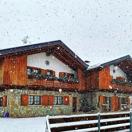 Ca'milla Nelle Dolomiti * Pieve di Cadore